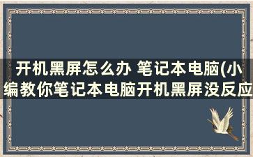 开机黑屏怎么办 笔记本电脑(小编教你笔记本电脑开机黑屏没反应怎么办)